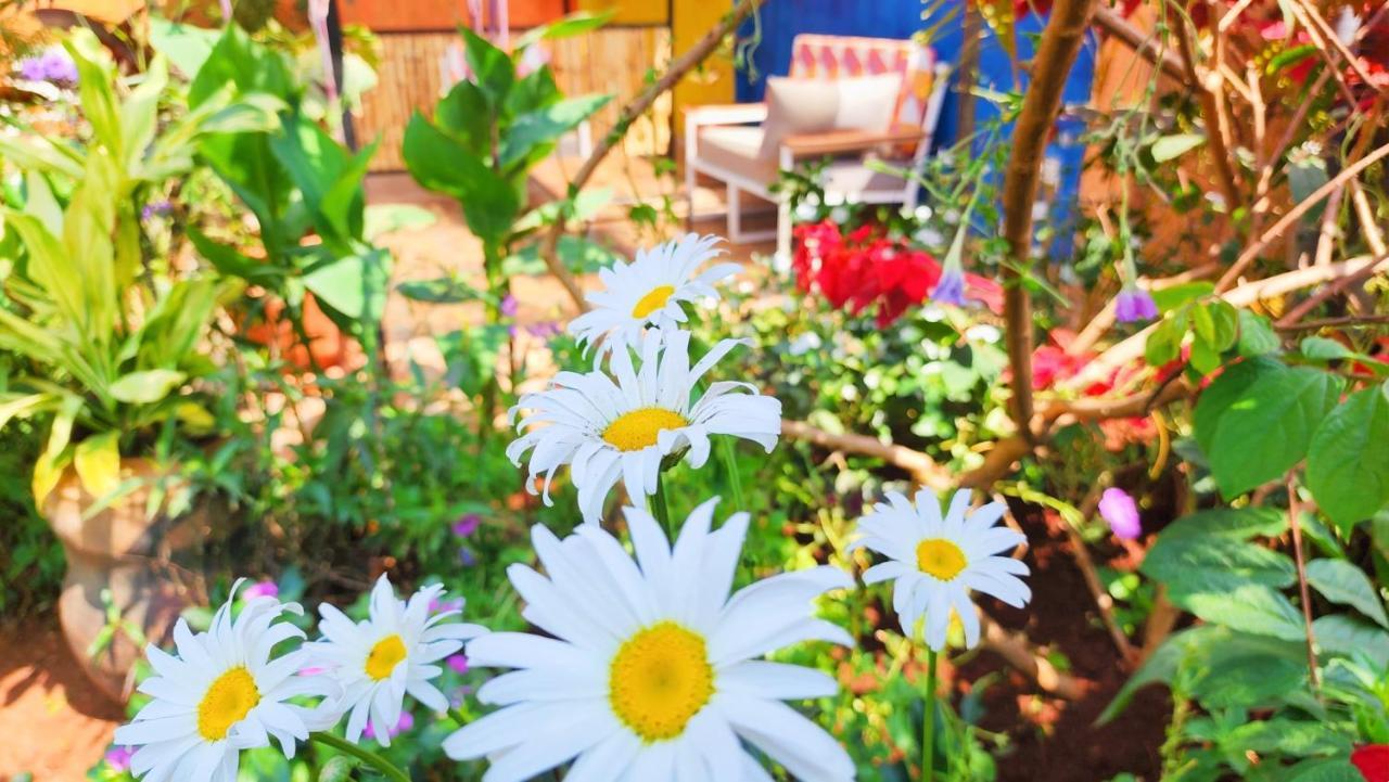Yambi Guesthouse Kigali Ngoại thất bức ảnh